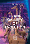 Grand gallery of evolution - Anglais